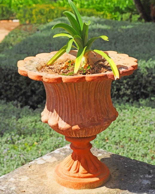 Plant Pot Painting By Numberss.png