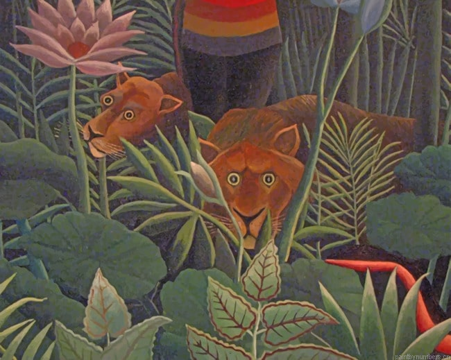 Plants And Animals Arts Painting By Numberss.png