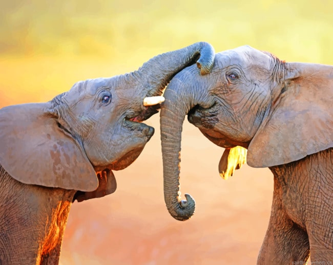 Playful Elephant Couple Animals Painting By Numberss.png