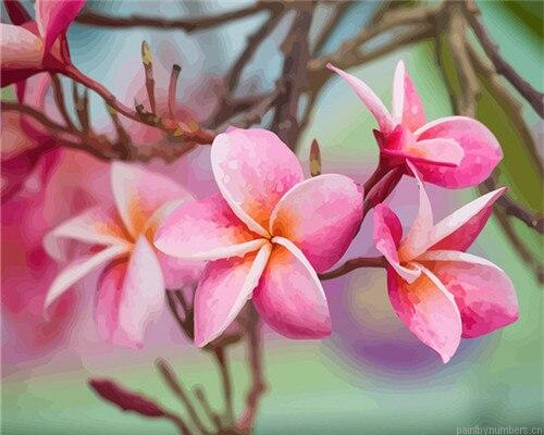 Plumeria Painting By Numbers.png