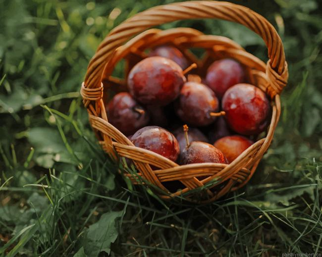 Plums Basket Fruits Painting By Numberss.png