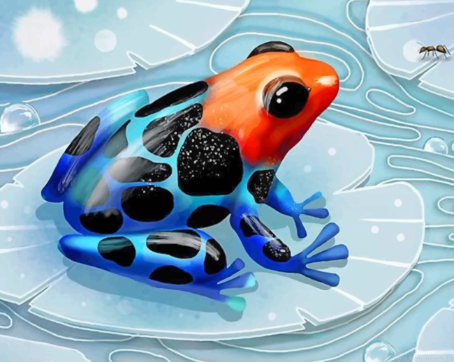 Poison Dart Frogs Painting By Numbers.png