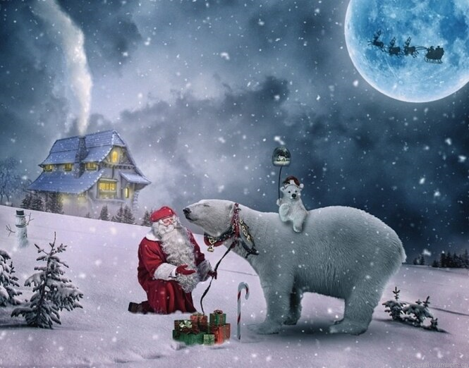 Polar Bears And Santa Claus Animals Painting By Numberss.png