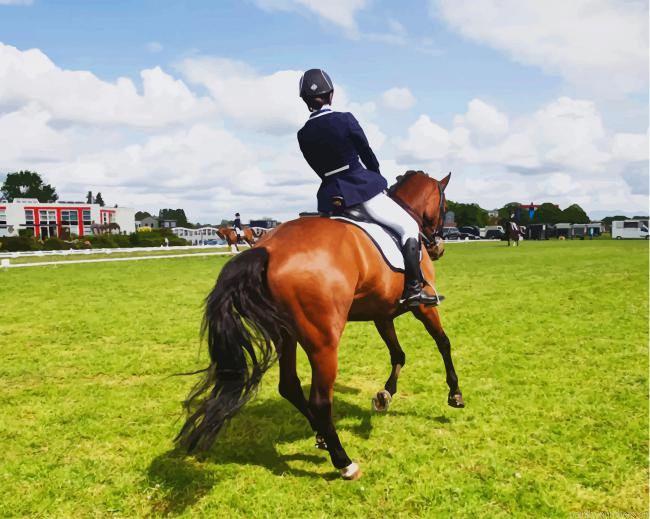 Polo Sport Painting By Numberss.png