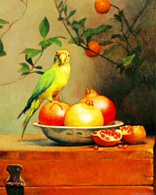 Pomegranate And Parrot Painting By Numbers.png