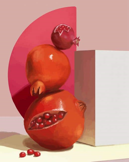 Pomegranate Artwork Painting By Numberss.png