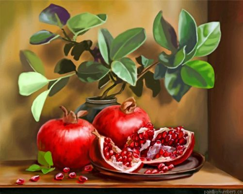 Pomegranate Fruits Painting By Numbers.png