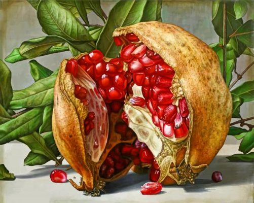 Pomegranate Painting By Numbers.png