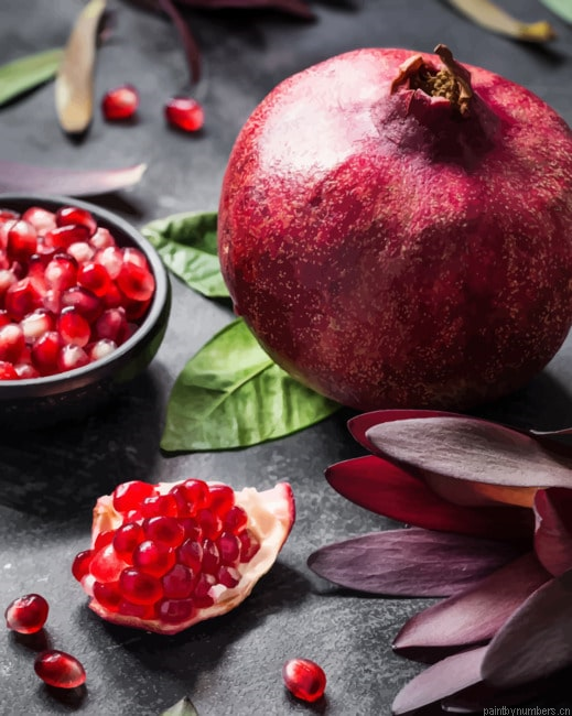 Pomegranate Photography Painting By Numberss.png