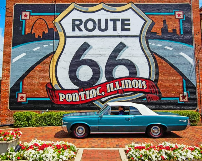 Pontiac Near The Flowers And Graffiti Painting By Numberss.png