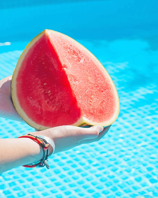 Pool Watermelon Fruits Painting By Numberss.png
