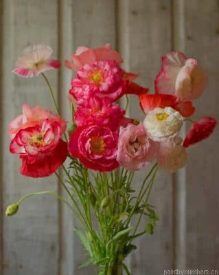 Poppies Bouquet Painting By Numberss.png
