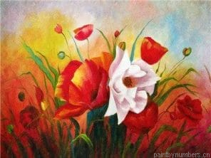 Poppies In Garden Painting By Numberss.png