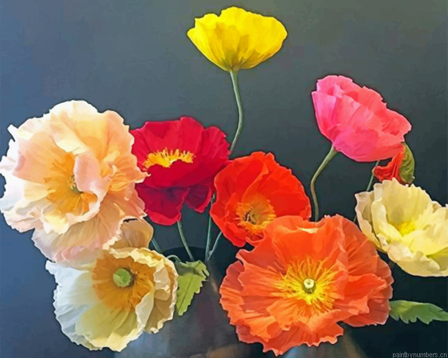 Poppies Painting By Numberss.png