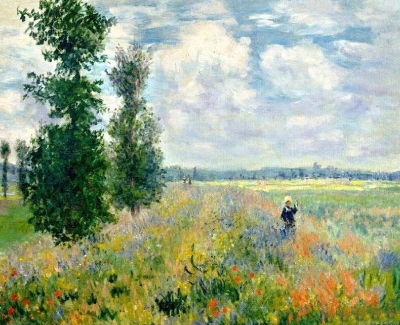 Poppy Fields Near Argenteuil Claude Monet Landscapes Painting By Numbers.png