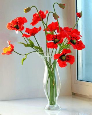 Poppy Flowers Painting By Numbers.png