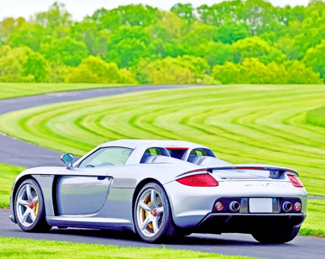 Porsche Carrera Gt Silver Cars Painting By Numberss.png