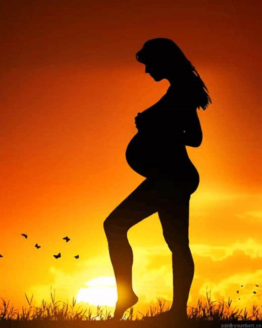 Pregnant Woman Silhouette Painting By Numberss.png