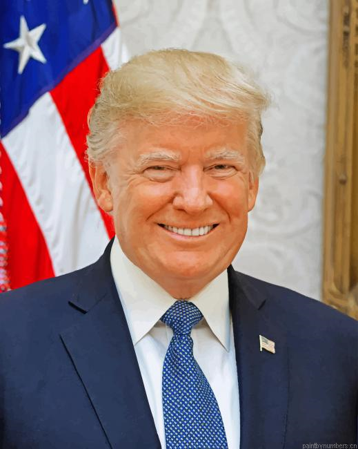 President Trump Painting By Numbers.png