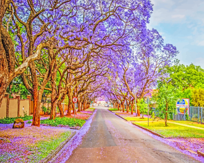Pretoria South Africa Painting By Numbers.png