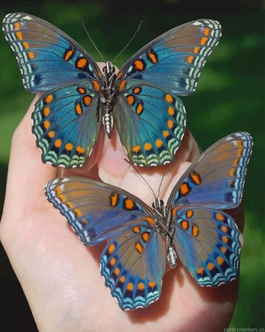 Pretty Butterflies Insects Painting By Numberss.png