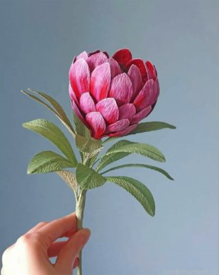 Pretty Protea Painting By Numbers.png