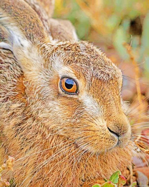 Pretty Rabbit Animals Painting By Numberss.png
