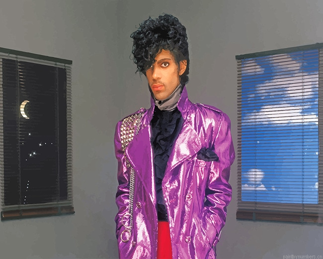 Prince Before The Rain Singers Painting By Numbers.png