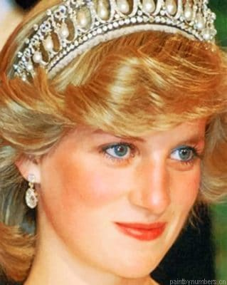 Princess Diana Painting By Numberss.png