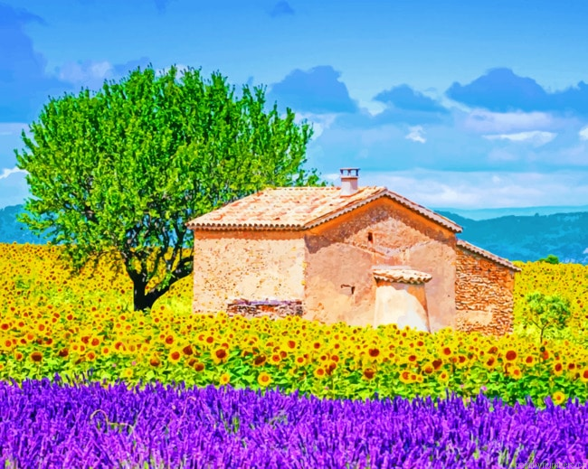 Provence France Painting By Numbers.png