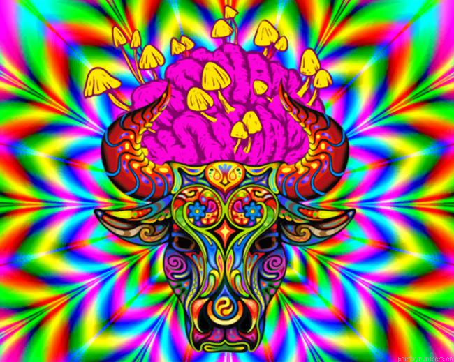 Psychedelic Animal Painting By Numberss.png