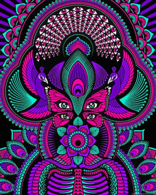 Psychedelic Trippy Mandala Woman Painting By Numbers.png