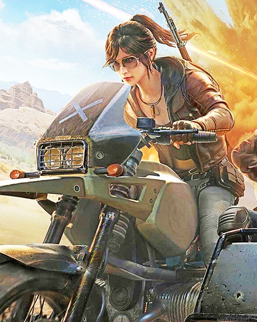 Pubg Girl Games Painting By Numberss.png