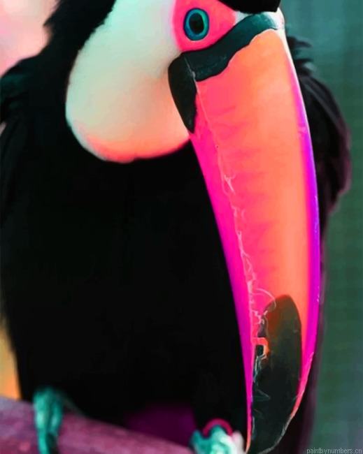 Puffin Painting By Numbers.png