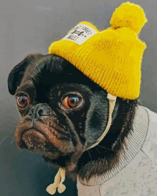 Pug With Yellow Hat Painting By Numbers.png