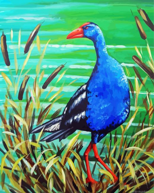 Pukeko Bird Painting By Numberss.png