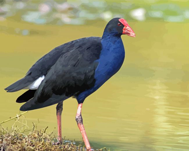 Pukeko Painting By Numberss.png