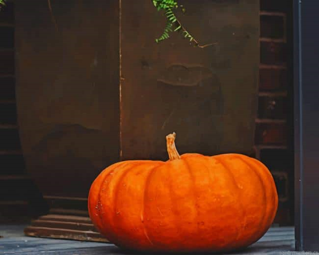 Pumpkin Food Painting By Numberss.png