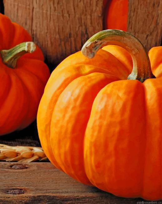 Pumpkin Halloween Painting By Numberss.png