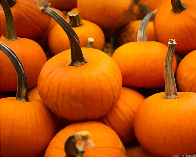 Pumpkins Painting By Numberss.png