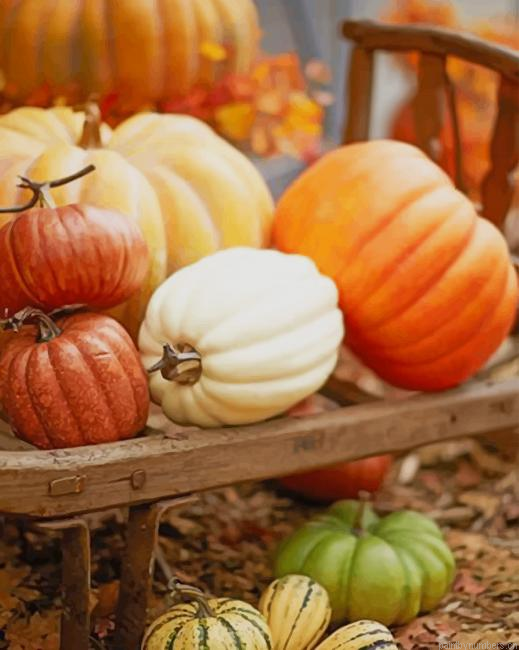 Pumpkins Squash Painting By Numberss.png