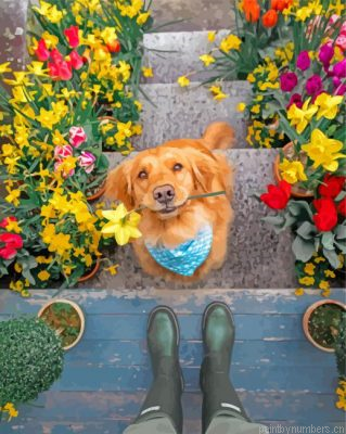 Puppy And Flowers Painting By Numbers.png