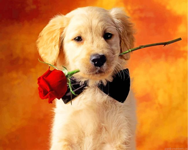 Puppy Holding A Flower Dogs Painting By Numberss.png