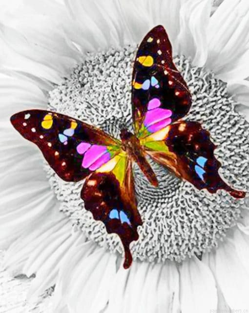 Purple Butterfly On Sunflower Insects Painting By Numberss.png