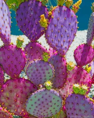 Purple Cactus Painting By Numbers.png