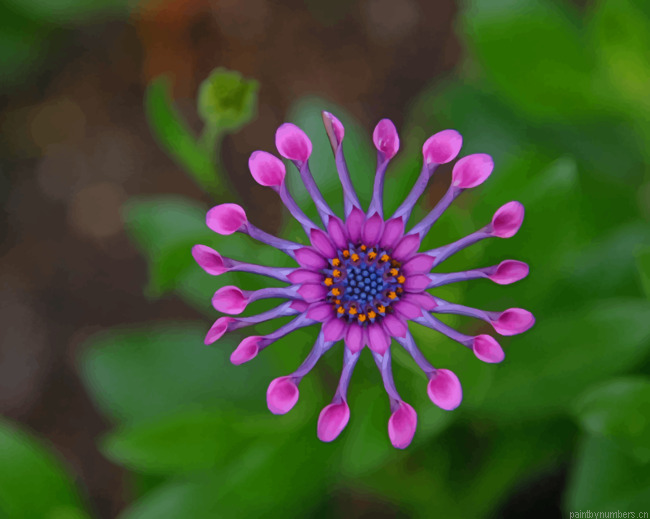 Purple Flower With Leaves Painting By Numberss.png