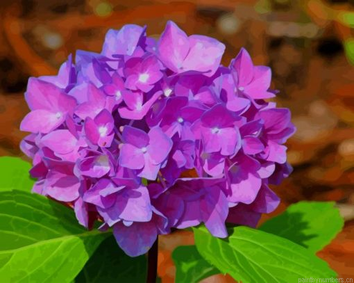 Purple Hydrangea Painting By Numbers.png
