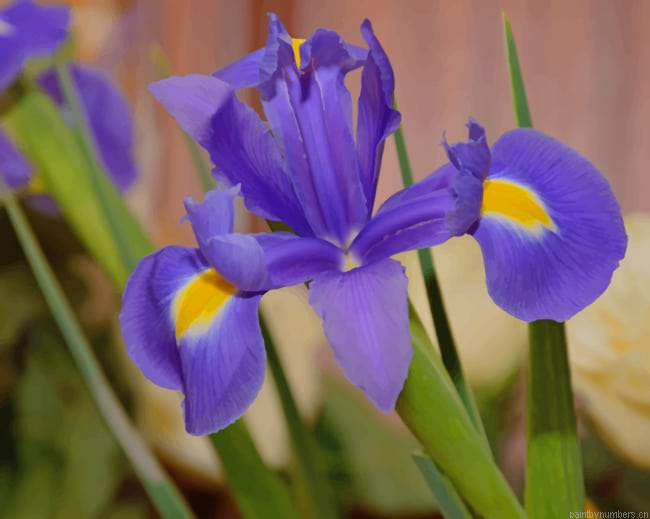 Purple Iris Flower Painting By Numbers.png