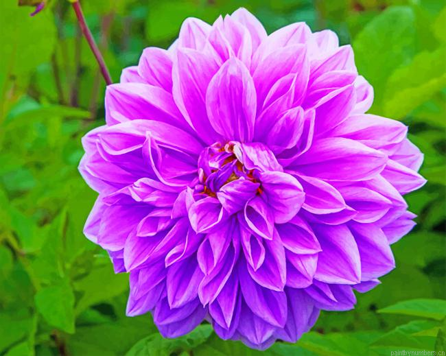 Purple Lilac Flower Painting By Numberss.png