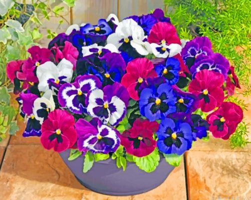 Purple Pansy Plants Painting By Numbers.png